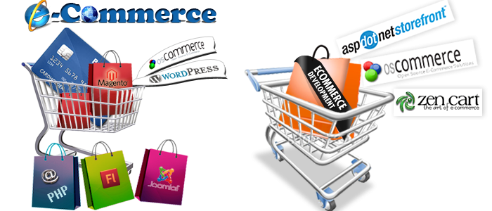 ecommerce development Chicago usa